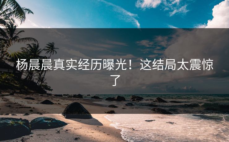 杨晨晨真实经历曝光！这结局太震惊了