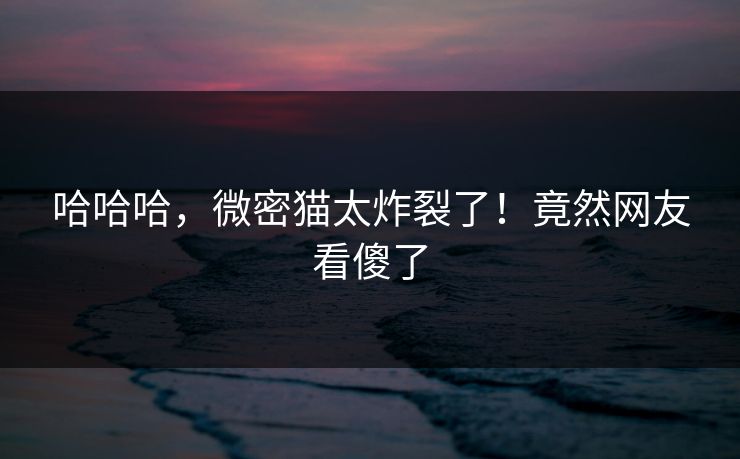哈哈哈，微密猫太炸裂了！竟然网友看傻了