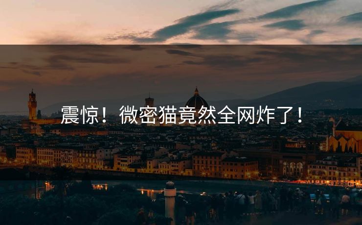 震惊！微密猫竟然全网炸了！