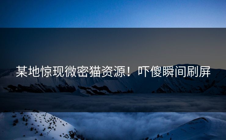 某地惊现微密猫资源！吓傻瞬间刷屏