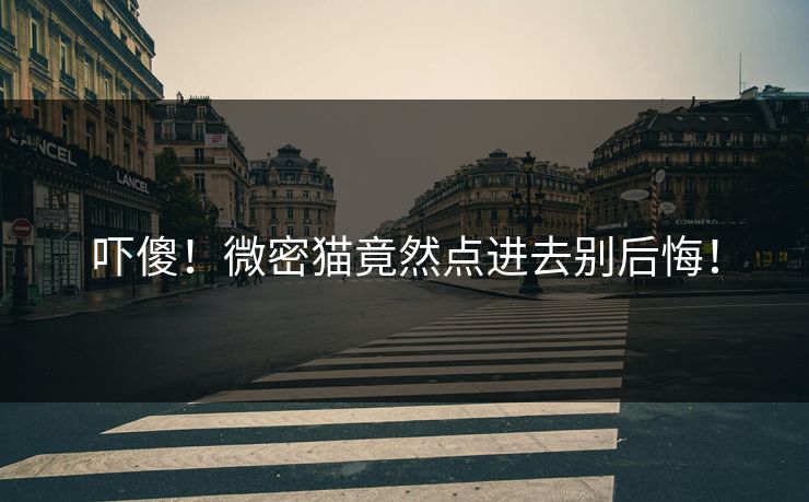 吓傻！微密猫竟然点进去别后悔！