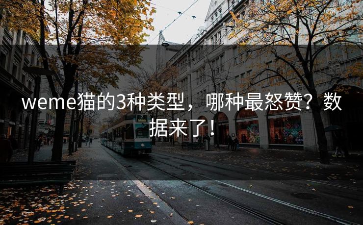 weme猫的3种类型，哪种最怒赞？数据来了！
