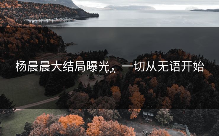杨晨晨大结局曝光，一切从无语开始…
