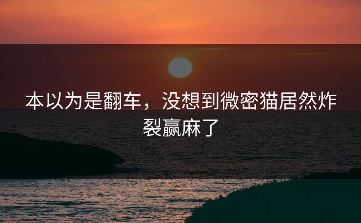 本以为是翻车，没想到微密猫居然炸裂赢麻了