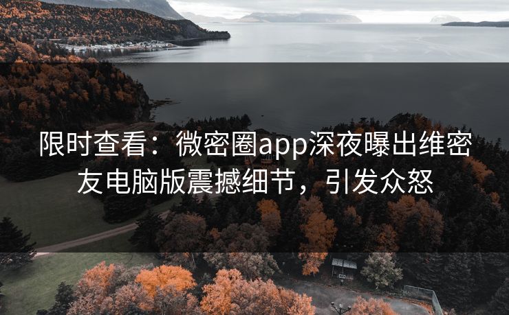 限时查看：微密圈app深夜曝出维密友电脑版震撼细节，引发众怒
