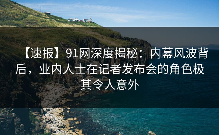 【速报】91网深度揭秘：内幕风波背后，业内人士在记者发布会的角色极其令人意外