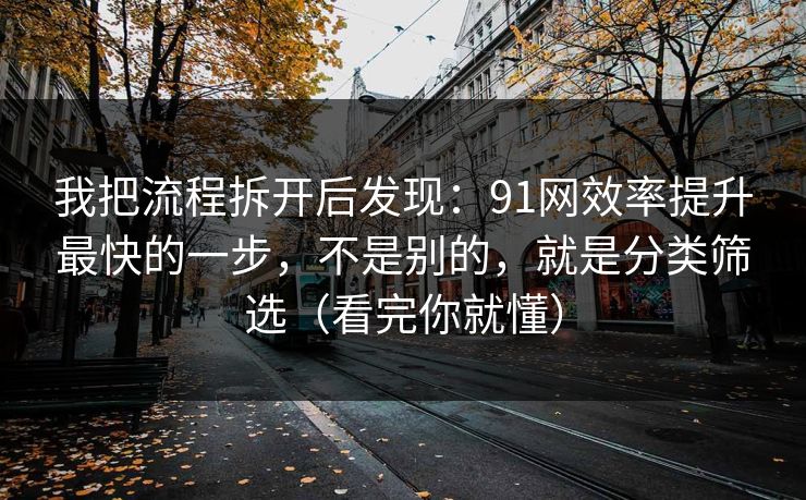 我把流程拆开后发现：91网效率提升最快的一步，不是别的，就是分类筛选（看完你就懂）